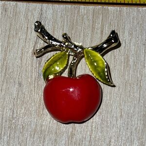 Adorable Apple Brooch with fabulous colors
